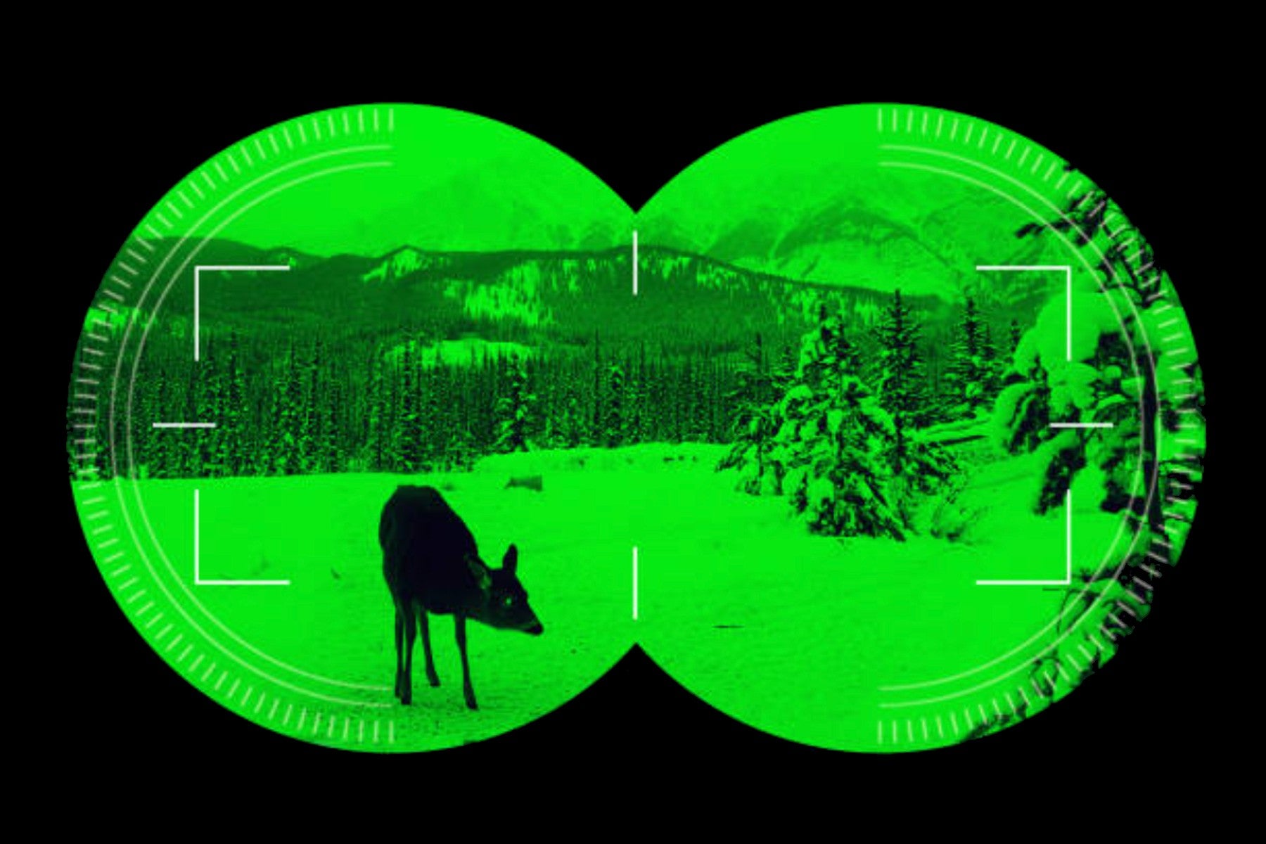 night-vision-goggles-and-devices