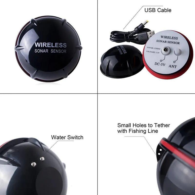 Portable fish finder