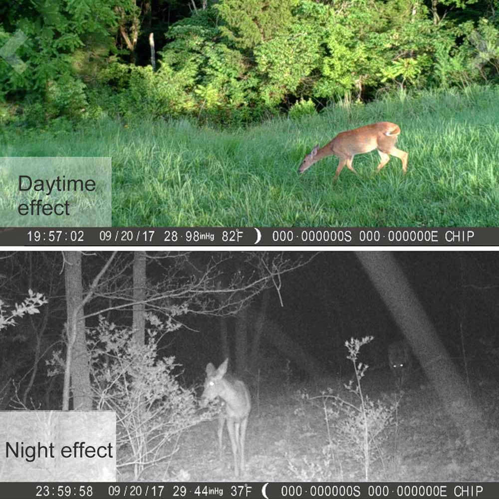 Night Vision Camera for Ultimate Night Vision Hunting